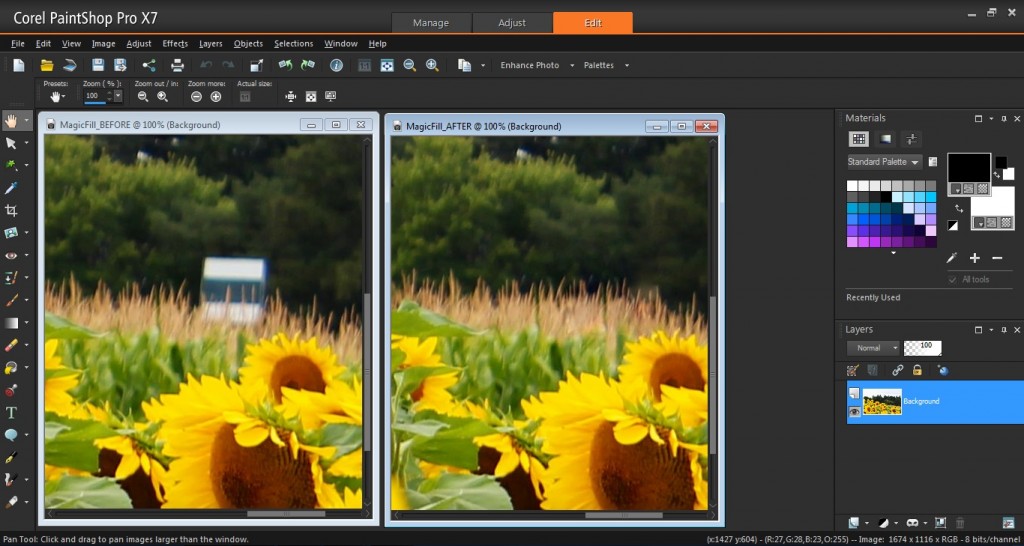 Corel PaintShop Pro X7 Magic Fill