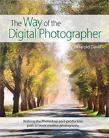 The Way of the Digital Photographer