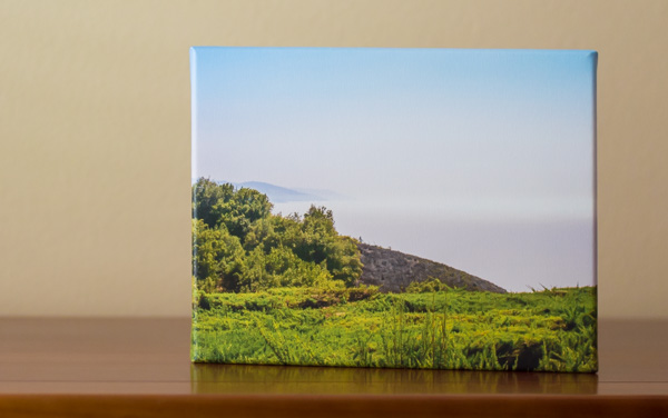 Review Simple Canvas Prints