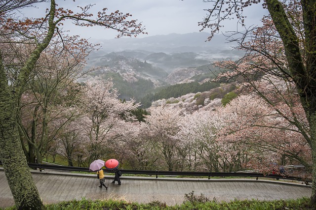 Photographing in different weather can make for more interesting shots