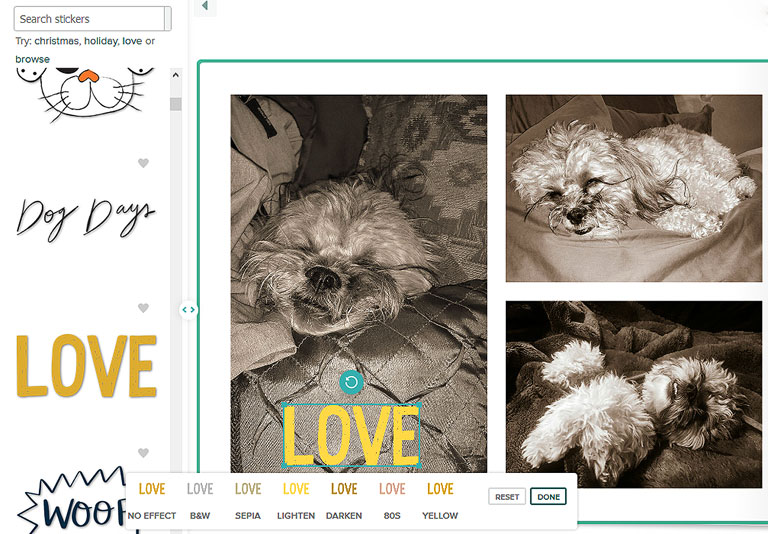 Mixbook's photo editor allows yu to add special effects to the stickers in your dog photo book