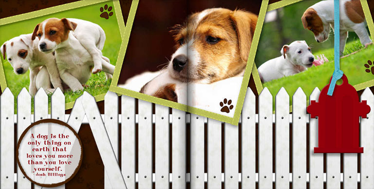 Mixbook has several dog photo book templates including  this Dog and Cat theme
