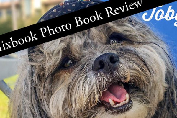 Sweet Mixbook Dog Photo Album Ideas to Make You Smile