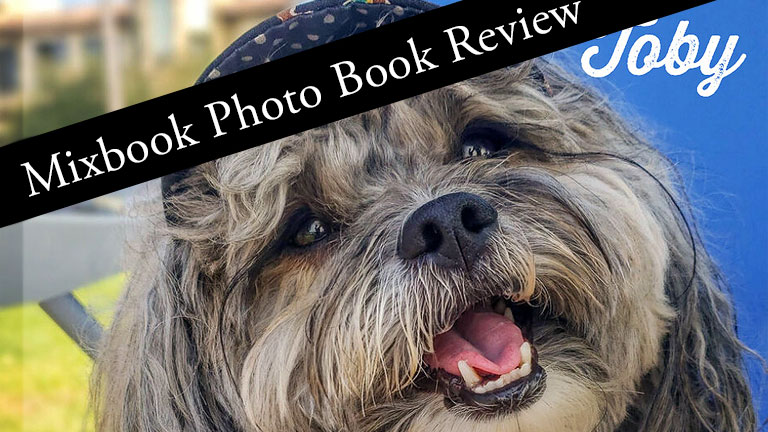 Sweet Mixbook Dog Photo Album Ideas to Make You Smile