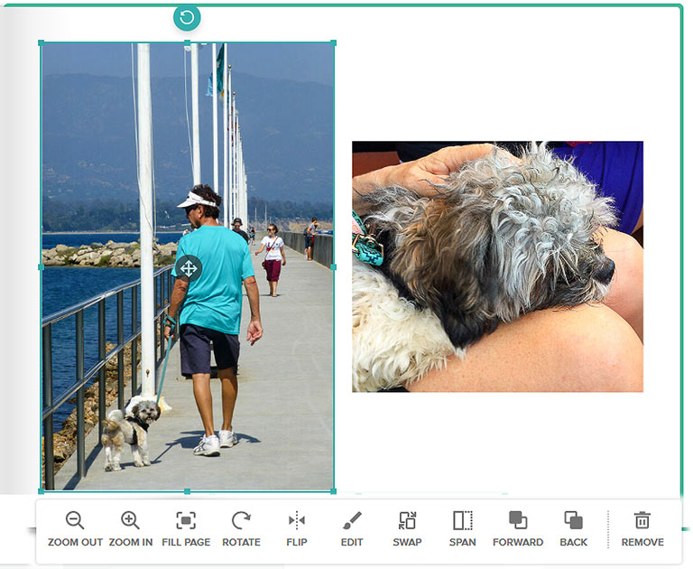 Mixbook's photo book editor gives you total flexibility on your design