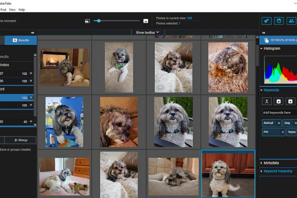 An In-Depth Review: Excire Foto and Search 2 Photo Manager