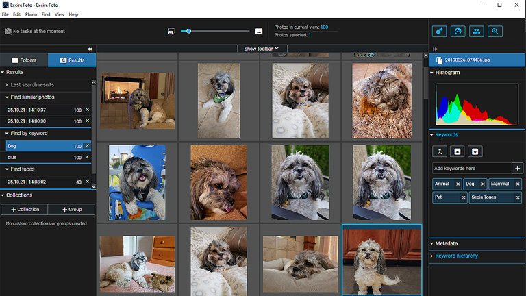 Review Excire Foto Search Photo Manager