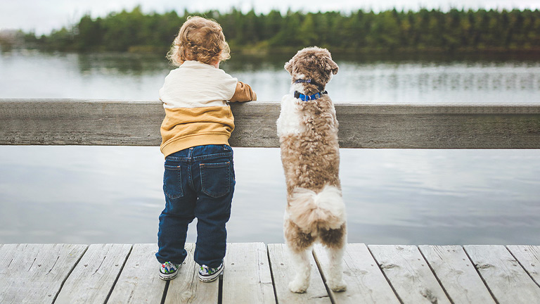 5 Fun Pet Photography Tips for Creative Dog and Cat Portraits